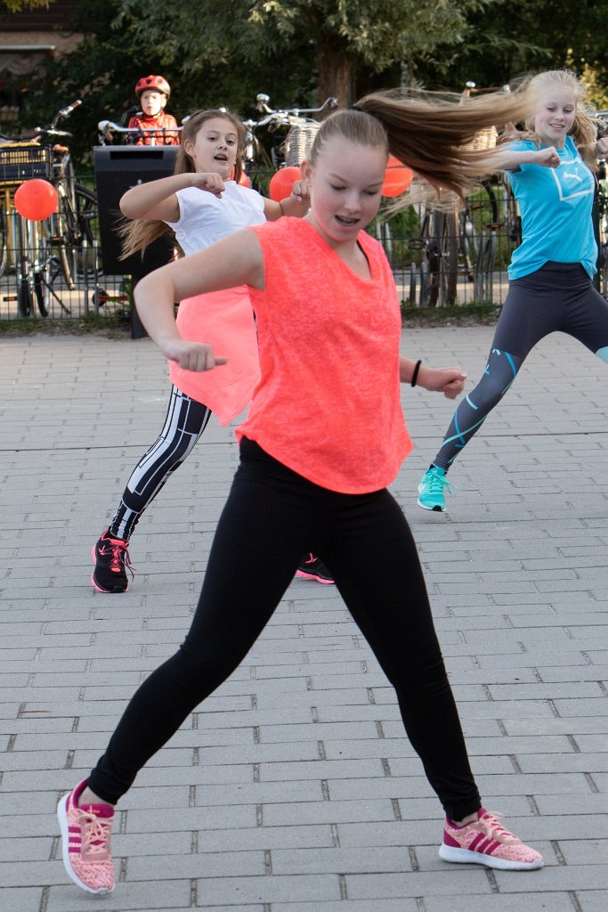 Schoolplein Festival A185.jpg